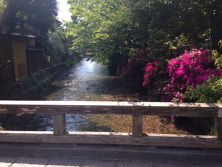 shirakawa.jpg