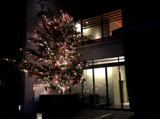 tree.jpg